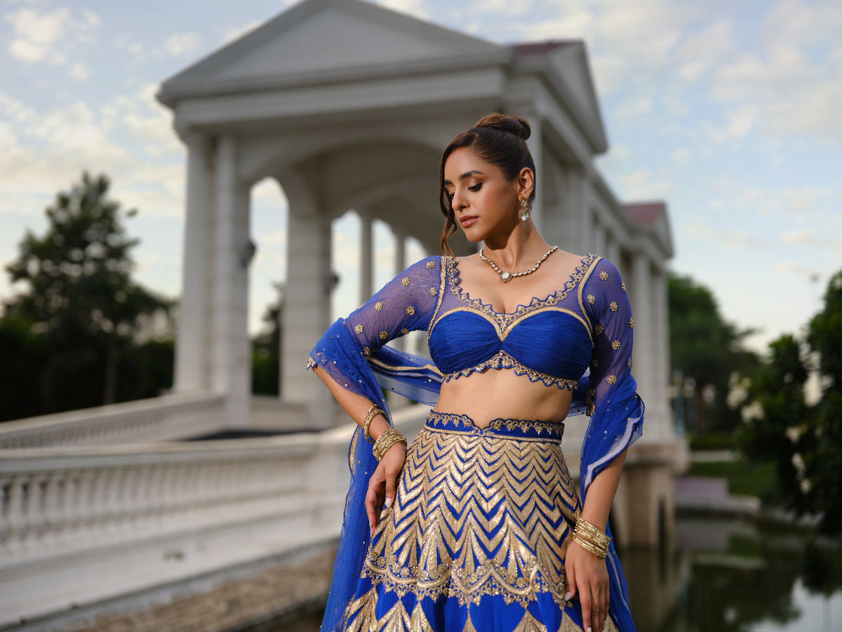Royal Blue Raw Silk Embroidered Lehenga Set